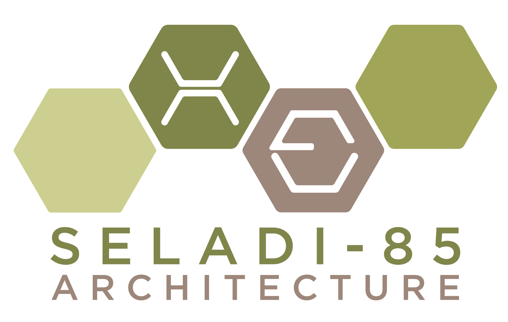 Seladi-85 Architectural Design Studio